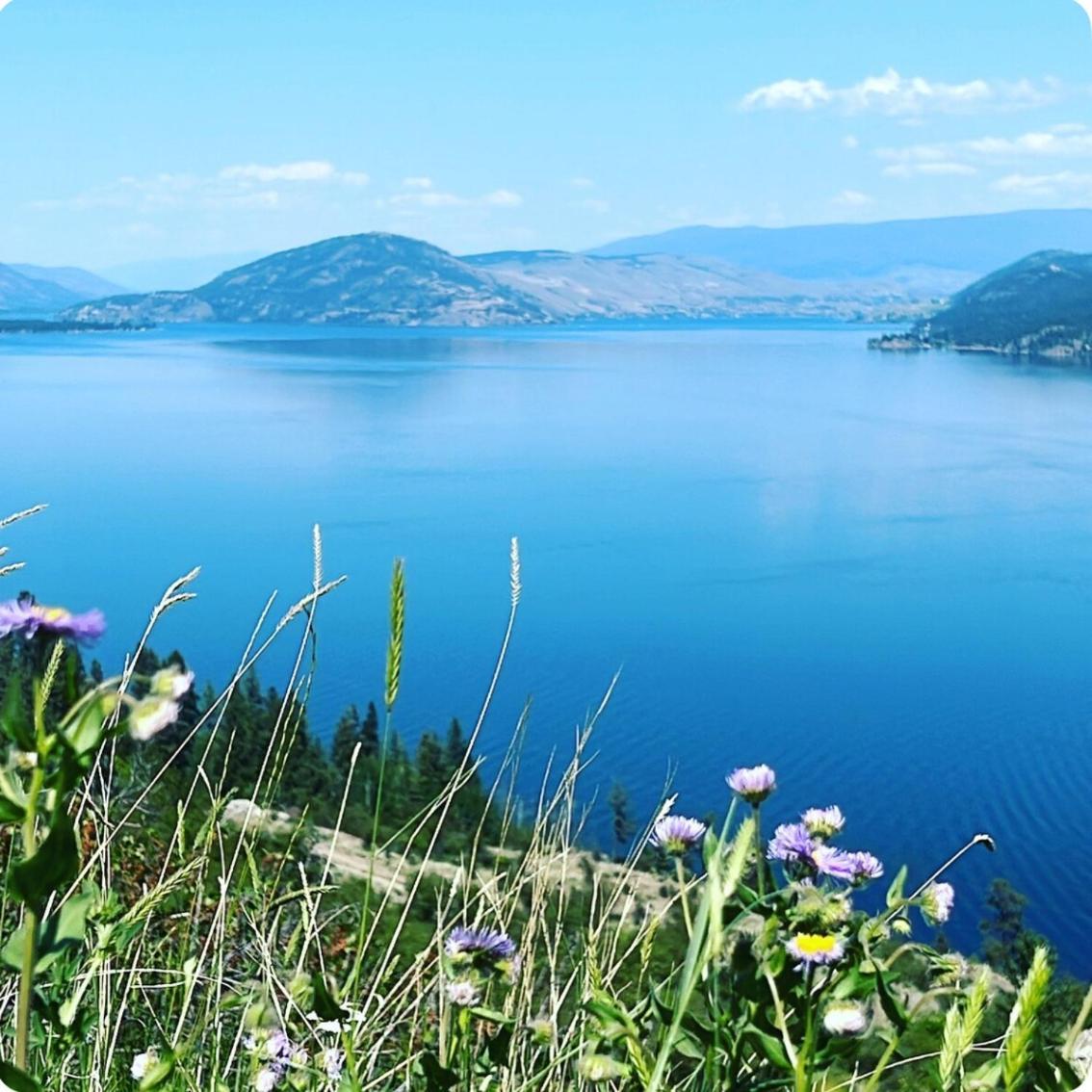 Jasmine Cottage Kelowna Zewnętrze zdjęcie